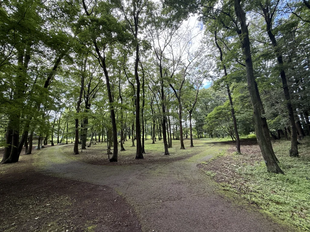 飛山城址の城内