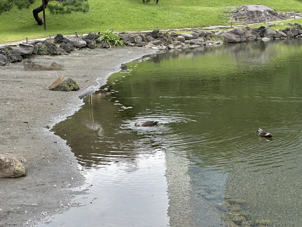 旧芝離宮恩賜庭園の浜辺
