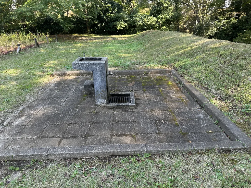 水飲み場