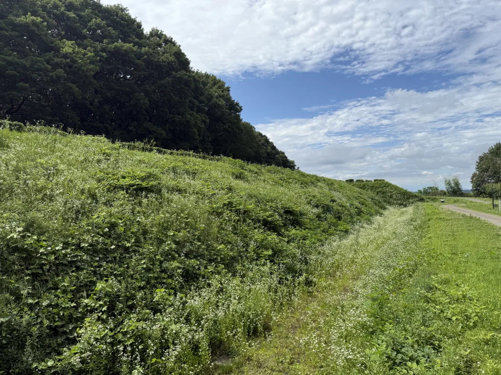 飛山城址の外堀と土塁