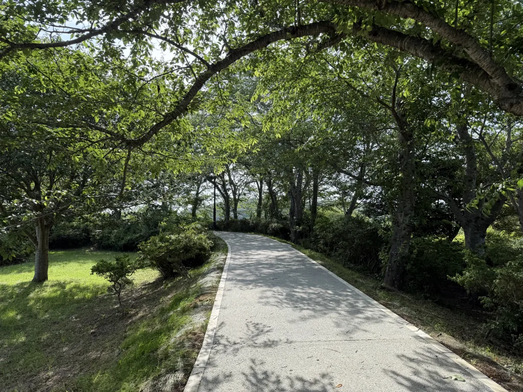 鹿島城址の遊歩道