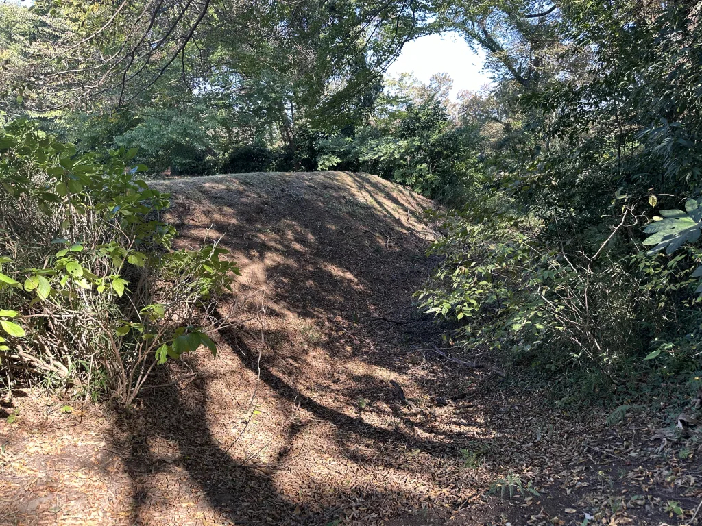 深大寺城址の土塁と空堀