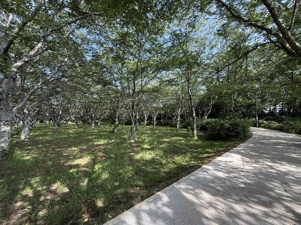 鹿島城址の遊歩道