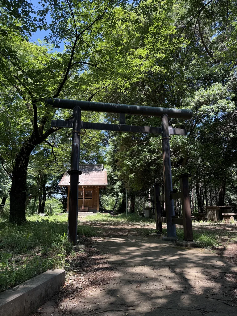 金毘羅社の鳥居