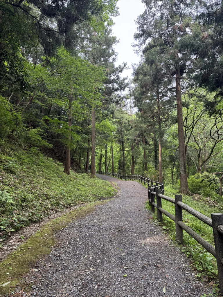八王子城御主殿跡の古道