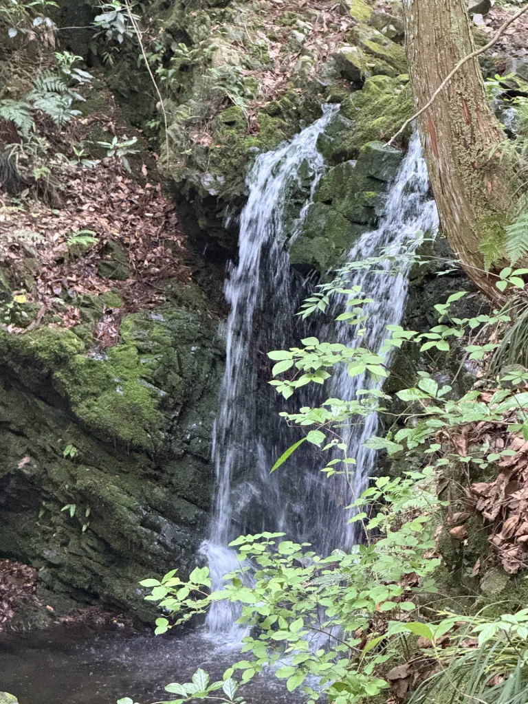 八王子城御主殿の滝