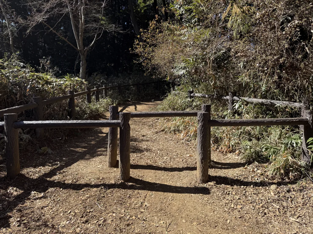 天覧山の柵