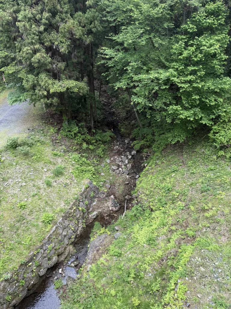 八王子城御主殿跡の川を橋から見下ろす