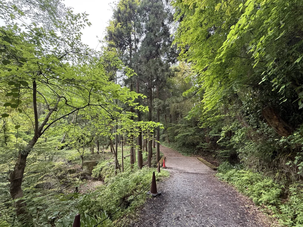 八王子城御主殿跡に向かう道