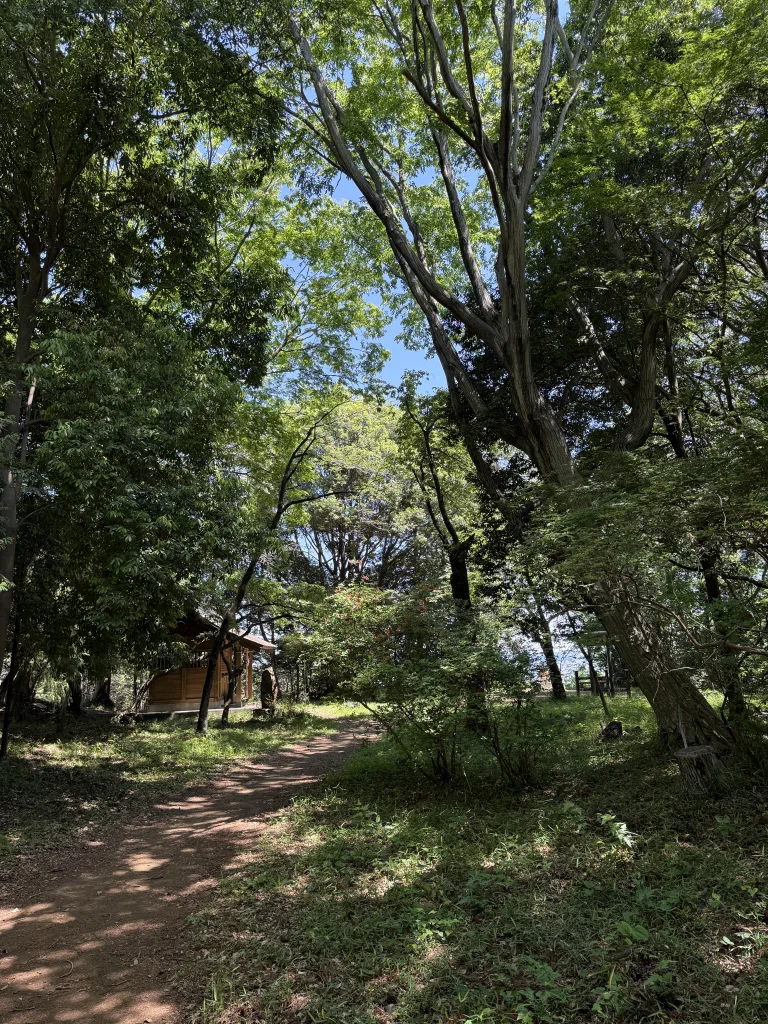 霞神社の裏