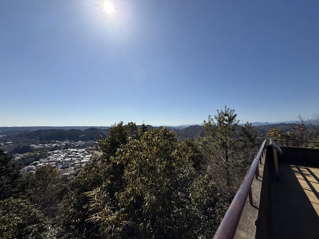 天覧山の眺望