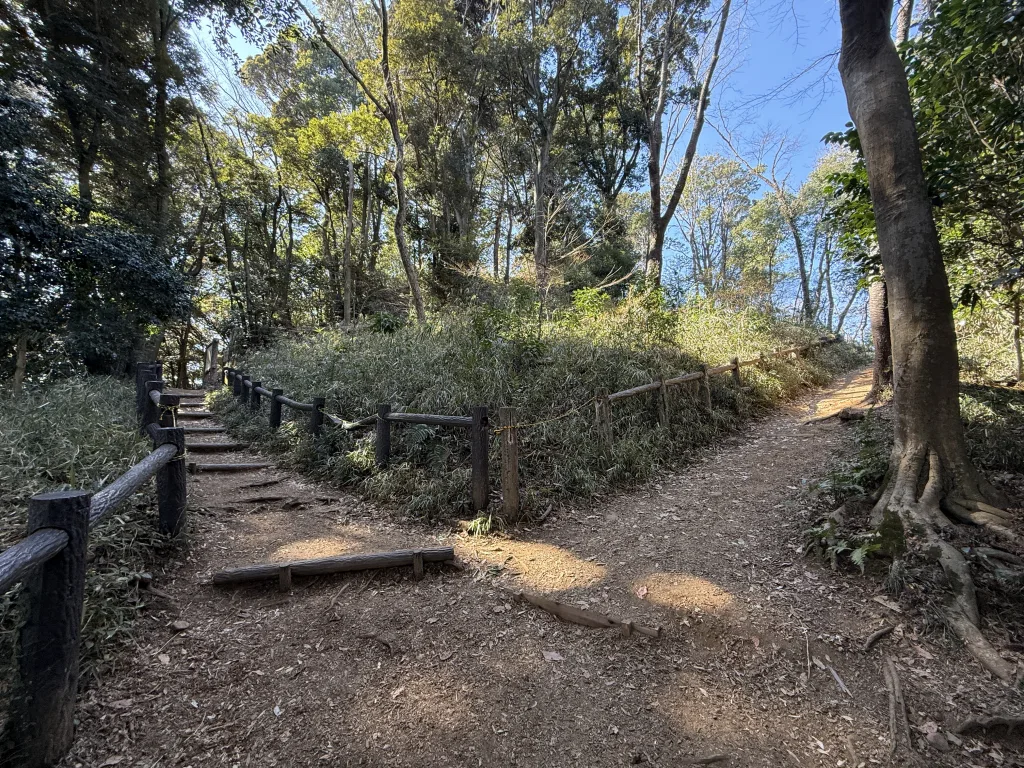 天覧山の分かれ道