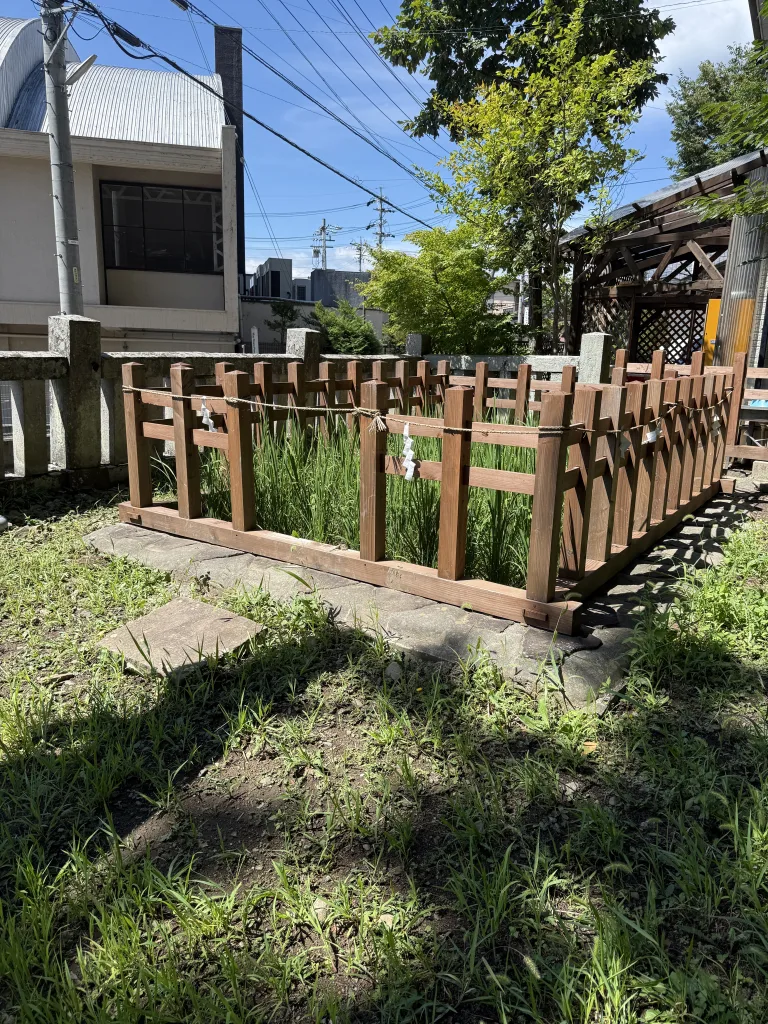 御作田社の水田