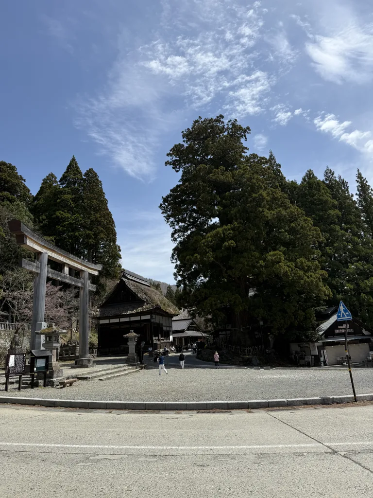 戸隠神社の鳥居と三本杉