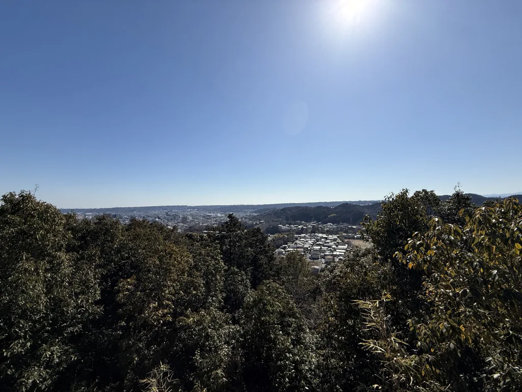 天覧山の眺望