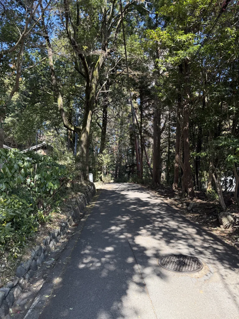 天覧山への登山道