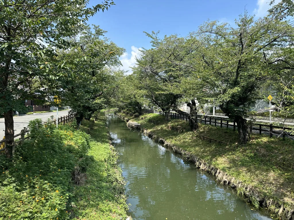 新河岸川
