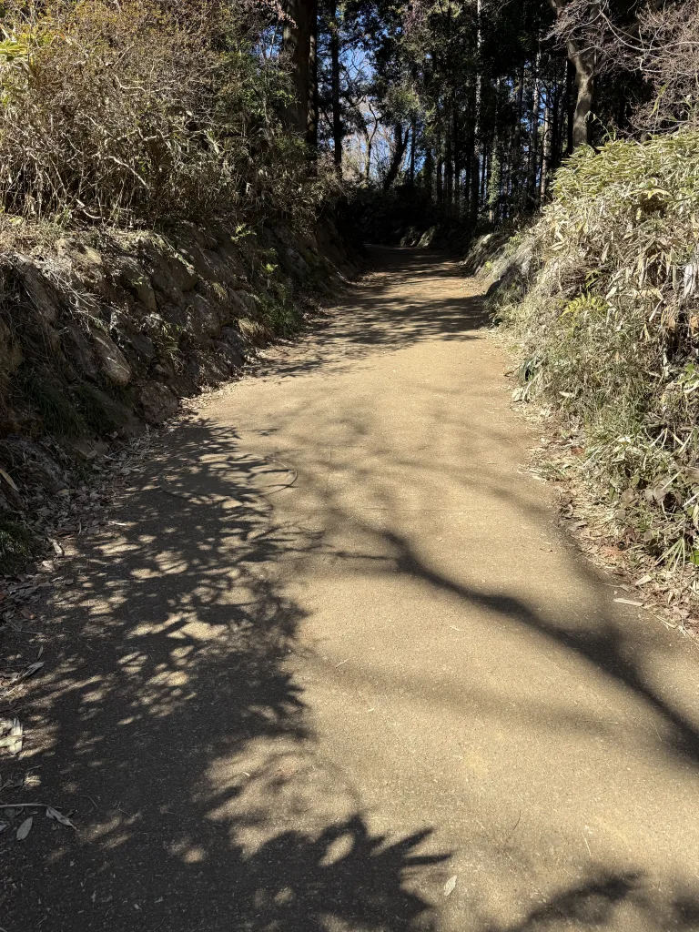 天覧山への登山道